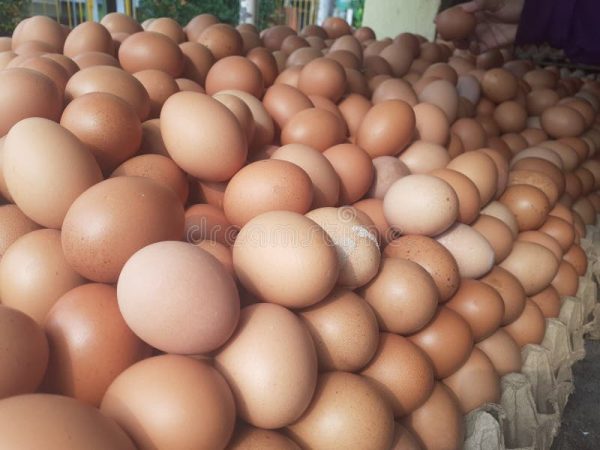 Eggs