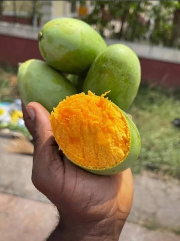 It's that time of the year again 🤭